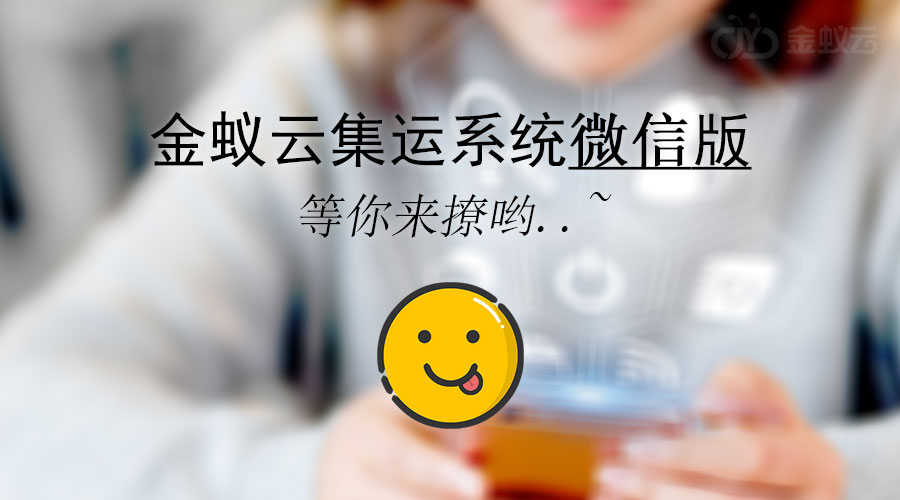 金蟻云集運(yùn)系統(tǒng)有微信功能嗎？